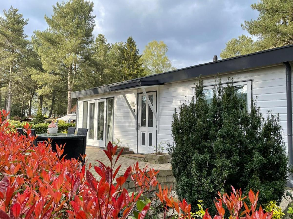 Luxe Vakantiehuis In Het Bos Overbroek エクステリア 写真